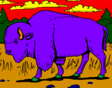 Desenho Búfalo pintado por lu correa