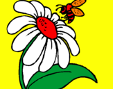 Desenho Margarida com abelha pintado por cleusa