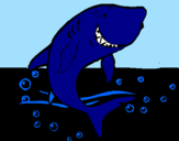 Desenho Tubarão pintado por Barbara