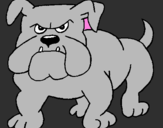 Desenho Cão Bulldog pintado por matilde