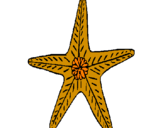 Desenho Estrela do mar pintado por gui