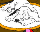 Desenho Cão a dormir pintado por elis@