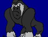 Desenho Gorila pintado por BMX