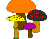 Desenho Cogumelos pintado por guilherme