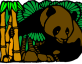 Desenho Urso panda e bambu pintado por dri