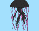 Desenho Medusa pintado por atacado