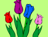 Desenho Tulipa pintado por xochilt