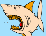 Desenho Tubarão pintado por icaro