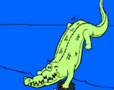Desenho Crocodilo a entrar na água pintado por Eduardo