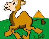 Desenho Camelo pintado por ryan