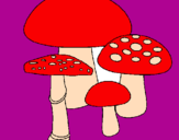 Desenho Cogumelos pintado por andre