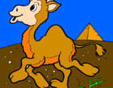 Desenho Camelo pintado por anónimo