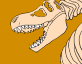 Desenho Esqueleto tiranossauro rex pintado por Dinis