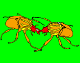 Desenho Escaravelhos pintado por @ntonio