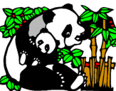 Desenho Mamã panda pintado por cesar