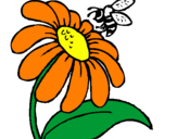 Desenho Margarida com abelha pintado por ettori