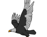 Desenho Águia a voar pintado por aguia