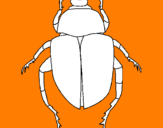 Desenho Escaravelho pintado por t