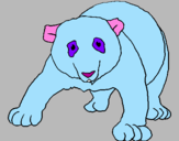 Desenho Urso panda pintado por vally