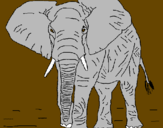 Desenho Elefante pintado por andre