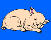 Desenho Porco a dormir pintado por Gaby