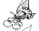Desenho Borboleta em flor pintado por VGVG
