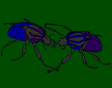 Desenho Escaravelhos pintado por lucas GUILHERME