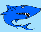 Desenho Tubarão pintado por davi