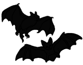 Desenho Um par de morcegos pintado por yasmym