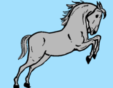 Desenho Cavalo a saltar pintado por daniel