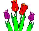 Desenho Tulipa pintado por luzi