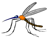 Desenho Mosquito pintado por Arthur Ferrão