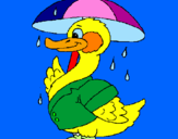 Desenho Pato sob a chuva pintado por samira ayumi