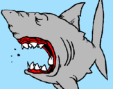 Desenho Tubarão pintado por Patricia