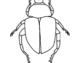 Desenho Escaravelho pintado por vdgbvffr