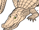 Desenho Crocodilo  pintado por vgfjh