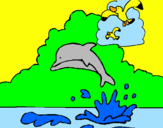 Desenho Golfinho e gaviota pintado por carolina garcia