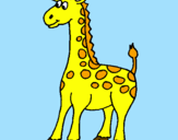 Desenho Girafa pintado por AMANDINHA