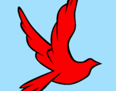 Desenho Pomba da paz a voar pintado por giovanna