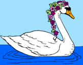 Desenho Cisne com flores pintado por AMANDA