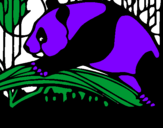 Desenho Urso panda a comer pintado por leticia