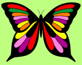 Desenho Borboleta pintado por borboleta   colorida
