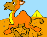 Desenho Camelo pintado por gigi