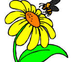 Desenho Margarida com abelha pintado por palaollla,