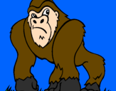 Desenho Gorila pintado por michelle