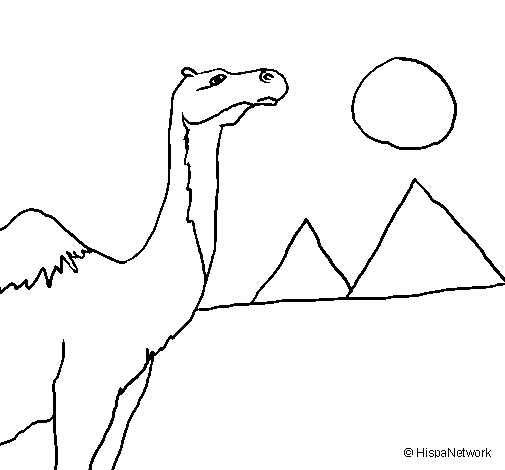 Desenho Camelo pintado por Kelli