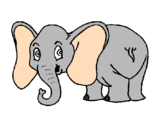 Desenho Elefante pequeno pintado por Tendy