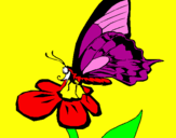 Desenho Borboleta numa flor pintado por BIANCA