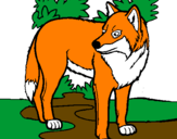 Desenho Lobo pintado por fox