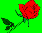 Desenho Rosa pintado por nataly